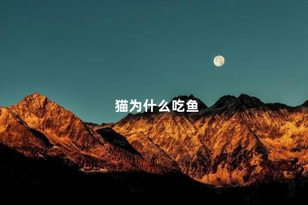 猫为什么吃鱼