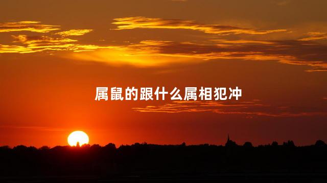 属鼠的跟什么属相犯冲
