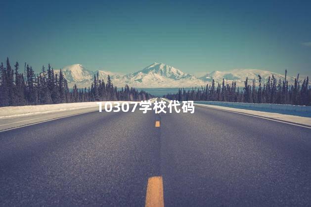 10307学校代码