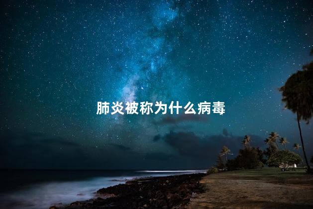 肺炎被称为什么病毒
