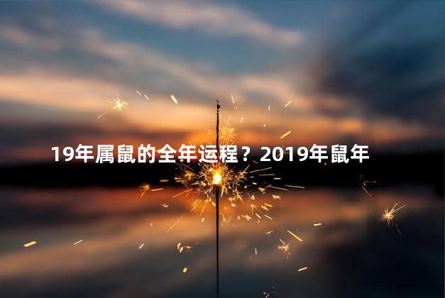 19年属鼠的全年运程？2019年鼠年运势大揭密：财富旺盛,事业蒸蒸日上！