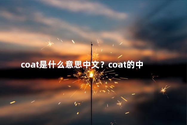 coat是什么意思中文？coat的中文意思是什么？