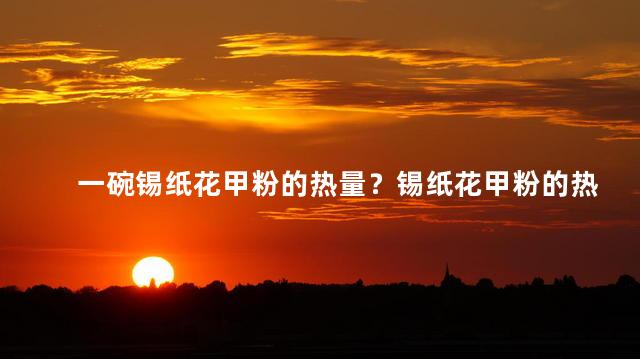 一碗锡纸花甲粉的热量？锡纸花甲粉的热量解密,一碗美食的卡路里情况了然