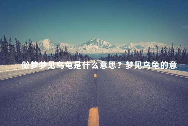 做梦梦见乌龟是什么意思？梦见乌龟的意义