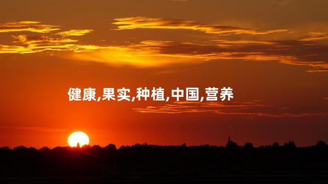 健康,果实,种植,中国,营养
