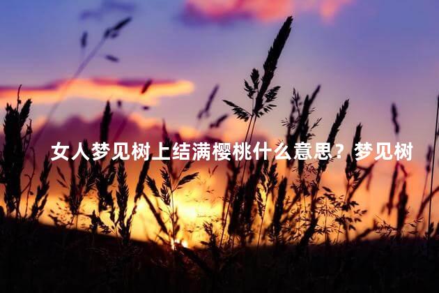 女人梦见树上结满樱桃什么意思？梦见树上结满樱桃的女人的含义如何？