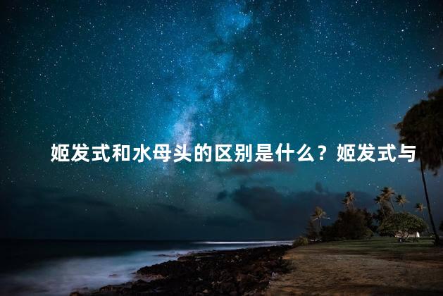姬发式和水母头的区别是什么？姬发式与水母头：了解发型的潮流趋势