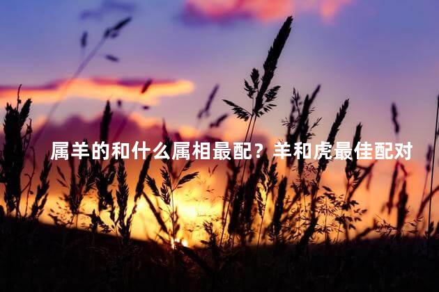 属羊的和什么属相最配？羊和虎最佳配对,浪漫甜蜜的组合