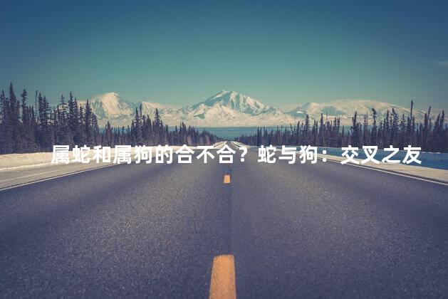 属蛇和属狗的合不合？蛇与狗：交叉之友