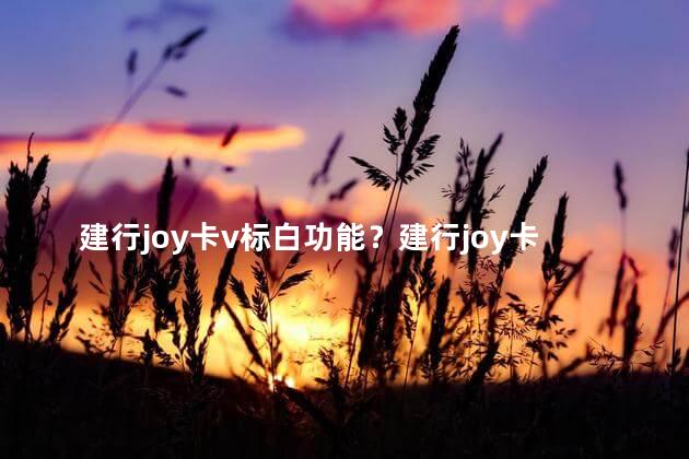 建行joy卡v标白功能？建行joy卡v标白新功能：让你畅享更多乐趣！