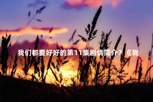 我们都要好好的第11集剧情简介？《我们都要好好的》第11集：心与爱情的交错缠绵