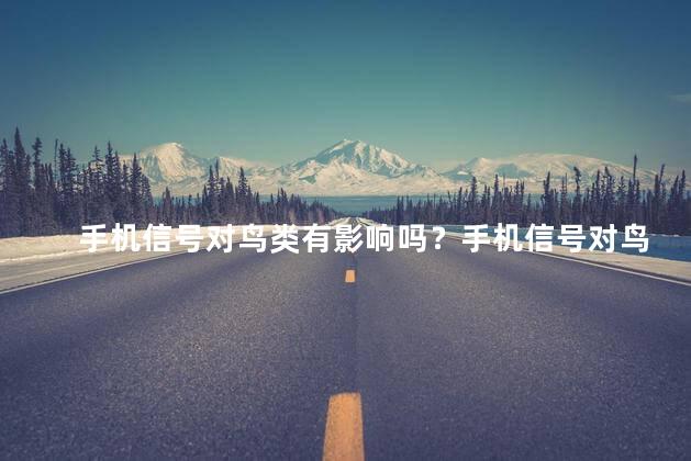 手机信号对鸟类有影响吗？手机信号对鸟类的影响：真相揭秘