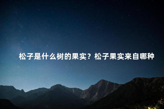 松子是什么树的果实？松子果实来自哪种树？