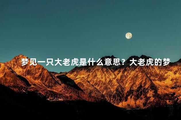 梦见一只大老虎是什么意思？大老虎的梦境意义