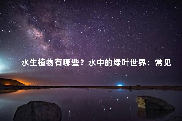 水生植物有哪些？水中的绿叶世界：常见的水生植物！
