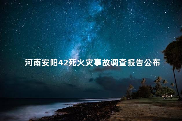 河南安阳42死火灾事故调查报告公布