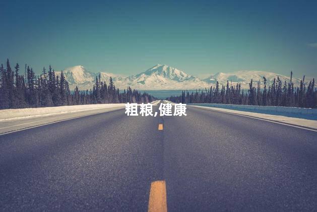 粗粮,健康
