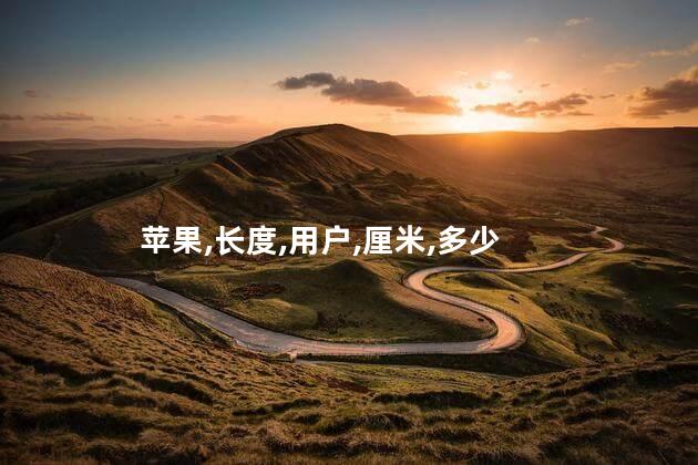 苹果,长度,用户,厘米,多少