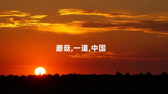 蘑菇,一道,中国