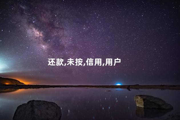 还款,未按,信用,用户