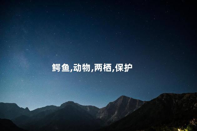 鳄鱼,动物,两栖,保护
